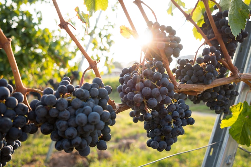 男性への誕生日 実用品ギフトおすすめ10選