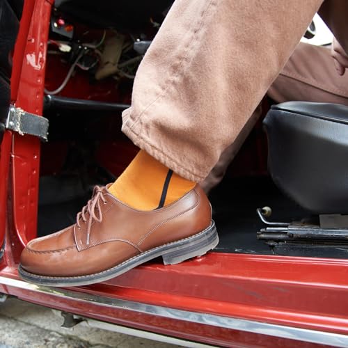 [CHICSTOCKS] 公式 シックストックス ソックス メンズ 靴下 レディース 奈良で編む日本製靴下 22-28cm 2足入りギフトバッグ