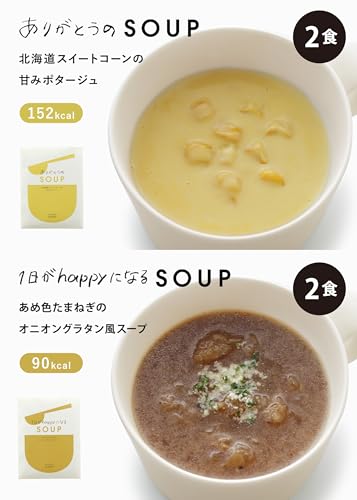 ピエトロ 感謝の気持ちを贈る スープギフト 10食 箱入り 常温保存 ギフト プレゼント 内祝い 退職祝い 敬老の日