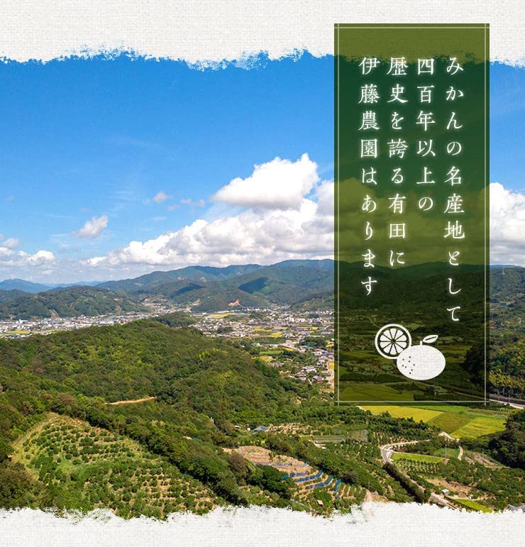伊藤農園 有田みかん バラエティセット ジュース 寒天 ゼリー 無添加 和歌山県 スイーツギフト