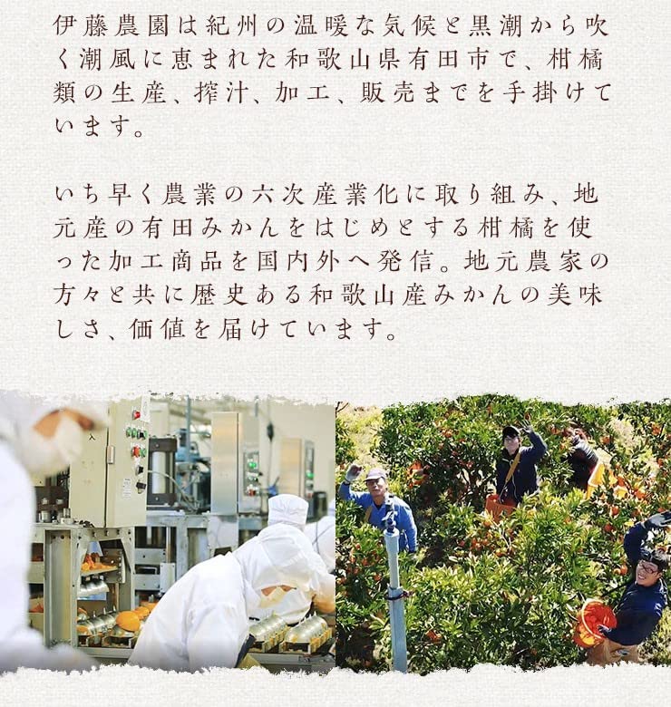 伊藤農園 有田みかん バラエティセット ジュース 寒天 ゼリー 無添加 和歌山県 スイーツギフト