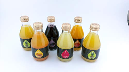 銀座千疋屋 銀座ストレートジュースB(10本) ギフト ジュース フルーツ 果汁 詰合せ