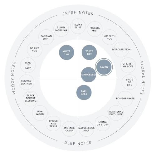 SHIRO サボン クレイハンドソープ 145mL