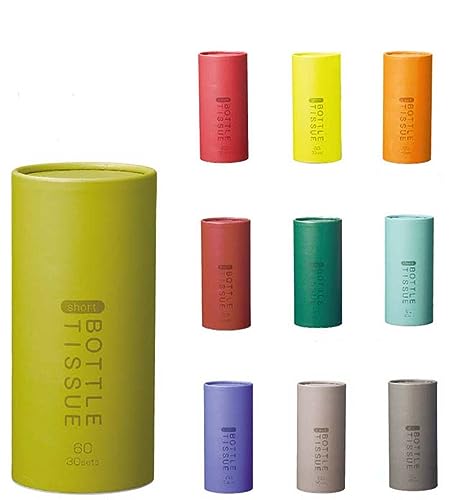 ソフトパック ティッシュペーパー 2プライ 60枚入り 10個セット 純木材パルプ ショートボトルタイプ