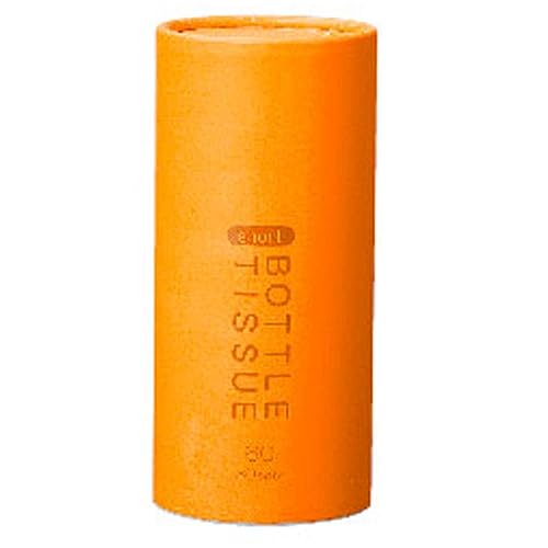 ソフトパック ティッシュペーパー 2プライ 60枚入り 10個セット 純木材パルプ ショートボトルタイプ