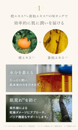 N organic Basic スキンケアセット 化粧水 乳液 ショッパー付ギフト