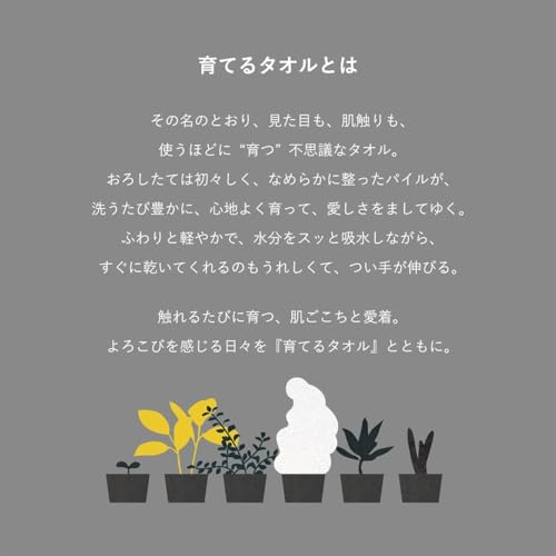 育てるタオル feel フェイスタオル ボックス入り 34×85cm 綿100％