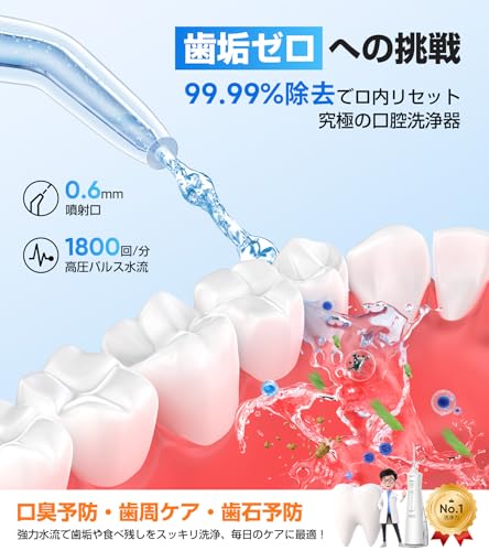 口腔洗浄器 ジェットウォッシャー 歯垢除去 4種類ノズル 310ml 父の日 母の日 ギフト
