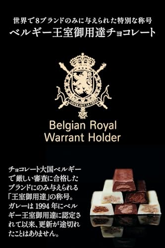 ガレー Galler チョコレート ベルギー王室御用達 ナノバー 30個入り ホワイトデー ギフト スイーツ お菓子 個包装 お取り寄せ 手さげ袋付き