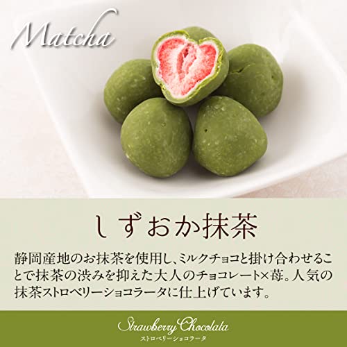 ホワイトデー お返し 贅沢ストロベリーショコラータ(3種セット)詰め合わせ チョコレート 苺チョコ ギフト チョコ プレゼント ストロベリーチョコレート 苺トリュフ お菓子 いちご フルーツ 小分け キャラメル 抹茶 あまおう苺 ミルク 抹茶 スイーツ 個包装 贈り物