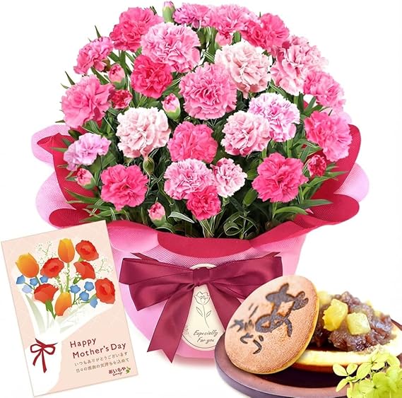 おいもや 母の日 プレゼント 2026 予約 ギフト カーネーション 花 鉢植え スイーツ お菓子 どら焼き ホットハート MD