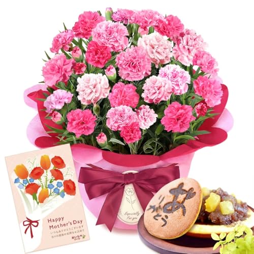 おいもや 母の日 プレゼント 2026 予約 ギフト カーネーション 花 鉢植え スイーツ お菓子 どら焼き ホットハート MD