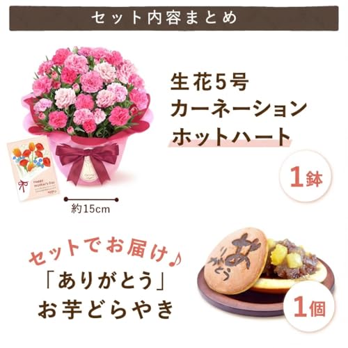 おいもや 母の日 プレゼント 2026 予約 ギフト カーネーション 花 鉢植え スイーツ お菓子 どら焼き ホットハート MD