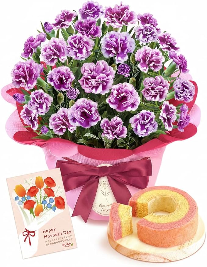 おいもや 母の日のプレゼント 2026 予約 カーネーション 花 オルフィカ 鉢植え 生花 花鉢 5号サイズ 花とお菓子 焼き菓子 お芋スイーツ MD (オルフィカ＆バウム)