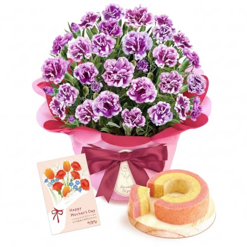 おいもや 母の日のプレゼント 2026 予約 カーネーション 花 オルフィカ 鉢植え 生花 花鉢 5号サイズ 花とお菓子 焼き菓子 お芋スイーツ MD (オルフィカ＆バウム)