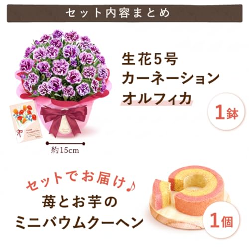 おいもや 母の日のプレゼント 2026 予約 カーネーション 花 オルフィカ 鉢植え 生花 花鉢 5号サイズ 花とお菓子 焼き菓子 お芋スイーツ MD (オルフィカ＆バウム)