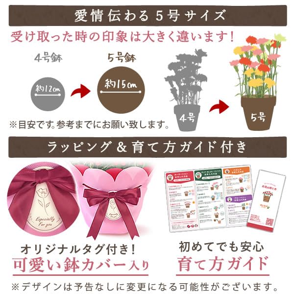 おいもや 母の日のプレゼント 2026 予約 カーネーション 花 オルフィカ 鉢植え 生花 花鉢 5号サイズ 花とお菓子 焼き菓子 お芋スイーツ MD (オルフィカ＆バウム)