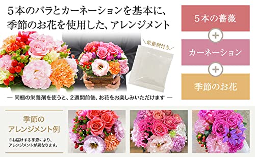 【退職祝い・送別ギフト】白坂花店 5本のバラと季節のお花 リボンアレンジメント カーネーション そのまま飾れる 2026年香川県知事賞・NFD理事長賞受賞