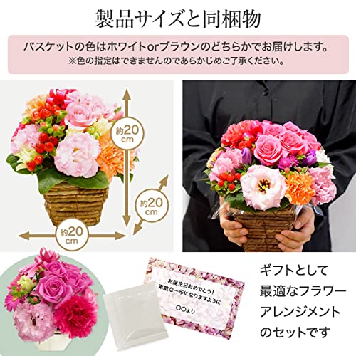 【退職祝い・送別ギフト】白坂花店 5本のバラと季節のお花 リボンアレンジメント カーネーション そのまま飾れる 2026年香川県知事賞・NFD理事長賞受賞