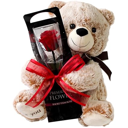 プリザーブドフラワー プリザードフラワー クマさんと一輪の薔薇 レッド プレゼント お祝い 記念日 誕生日 アレンジ フラワーギフト フラワーアレンジメント 枯れないバラ 花 女性 母の日 プレゼント 花