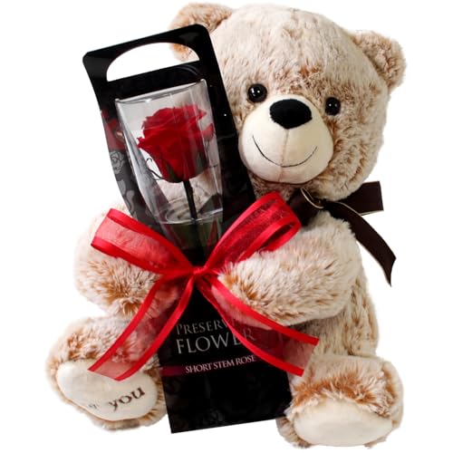 プリザーブドフラワー プリザードフラワー クマさんと一輪の薔薇 レッド プレゼント お祝い 記念日 誕生日 アレンジ フラワーギフト フラワーアレンジメント 枯れないバラ 花 女性 母の日 プレゼント 花
