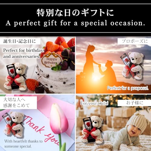プリザーブドフラワー プリザードフラワー クマさんと一輪の薔薇 レッド プレゼント お祝い 記念日 誕生日 アレンジ フラワーギフト フラワーアレンジメント 枯れないバラ 花 女性 母の日 プレゼント 花