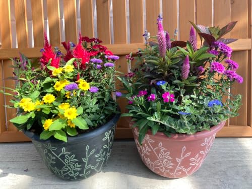 花＊花Gluckはなはなぐりゅっけ 季節の寄せ植え リーフ柄 2鉢セット 軽量プラスチック鉢 内径24cm 鉢の色選択不可 花ギフト 母の日 誕生日 新築祝い