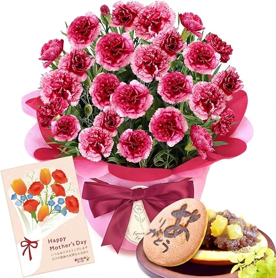 おいもや 母の日 2026 予約 プレゼント 2026 予約 ギフト カーネーション 花 鉢植え スイーツ お菓子 どら焼き プラムタルト MD