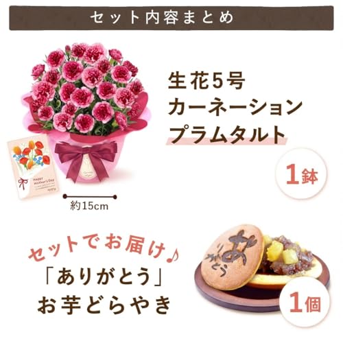 おいもや 母の日 2026 予約 プレゼント 2026 予約 ギフト カーネーション 花 鉢植え スイーツ お菓子 どら焼き プラムタルト MD