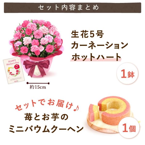 おいもや 母の日 2026 予約 花 プレゼント ギフト カーネーション ホットハート スイーツ バームクーヘン MD