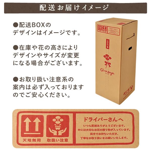 おいもや 母の日 2026 予約 花 プレゼント ギフト カーネーション ホットハート スイーツ バームクーヘン MD