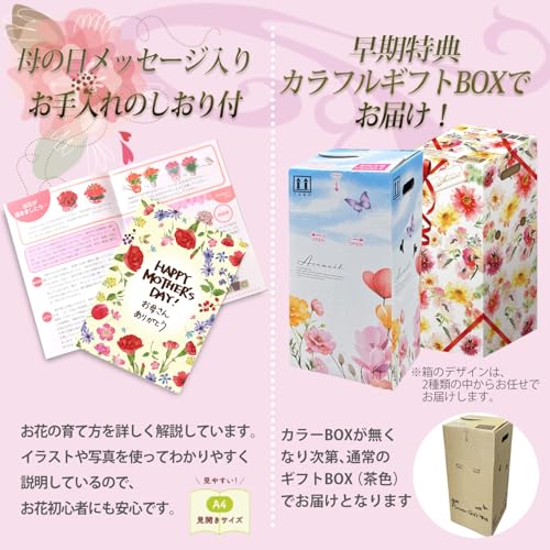花のギフト社 母の日 花 母の日ギフト ガーデニア くちなし 鉢植え プレゼント 花鉢 ガーデニング
