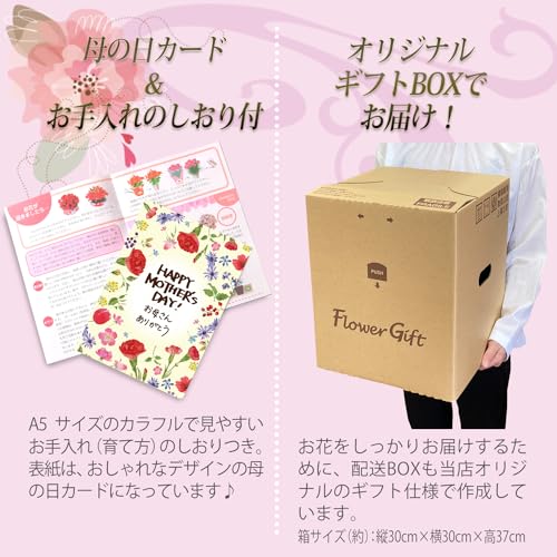 花のギフト社 母の日 花 鉢植え カーネーション プレゼント 花鉢 母の日ギフト ギフト 7号