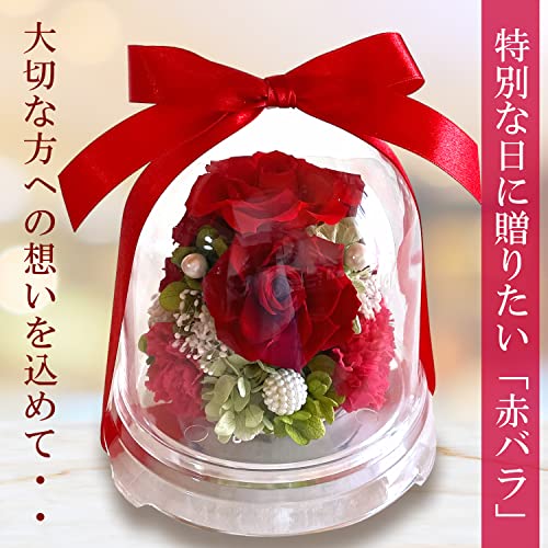 プリザーブドフラワー 還暦 赤バラ ドーム 誕生日 長寿祝い 母の日 プレゼント (レッド)
