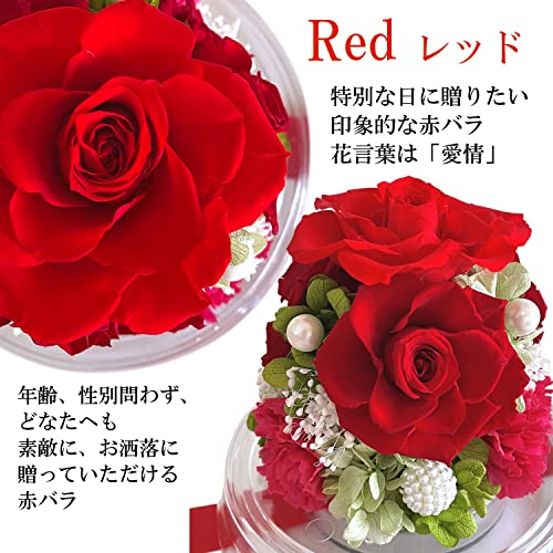 プリザーブドフラワー 還暦 赤バラ ドーム 誕生日 長寿祝い 母の日 プレゼント (レッド)