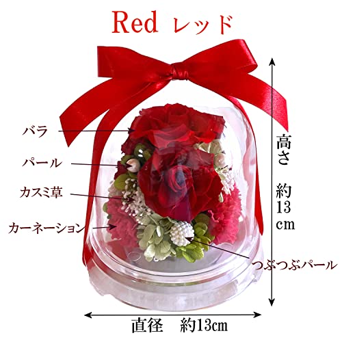 プリザーブドフラワー 還暦 赤バラ ドーム 誕生日 長寿祝い 母の日 プレゼント (レッド)