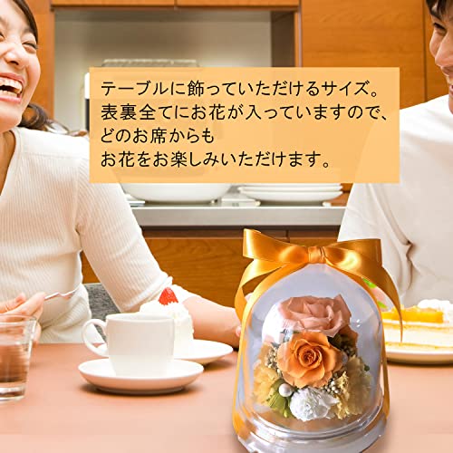 プリザーブドフラワー 還暦 赤バラ ドーム 誕生日 長寿祝い 母の日 プレゼント (レッド)