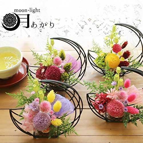 月明り プリザーブドフラワー 菊 母の日 敬老の日 プレゼント たんぽぽ月