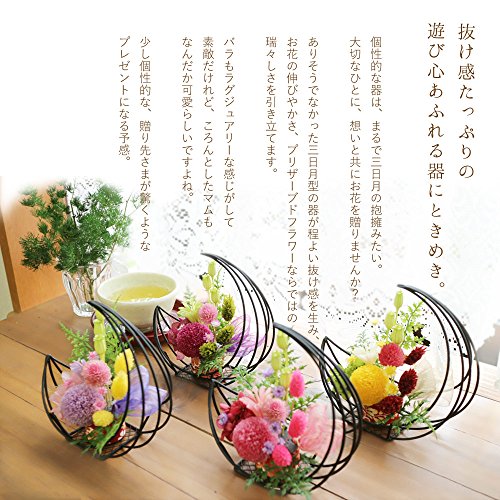 月明り プリザーブドフラワー 菊 母の日 敬老の日 プレゼント たんぽぽ月