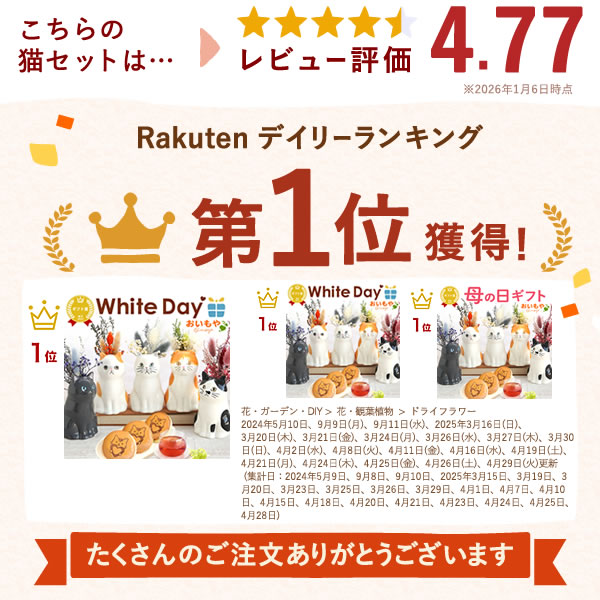 母の日 プレゼント 2026 早割 花 フラワーベース フラワーギフト プチギフト 早期割引