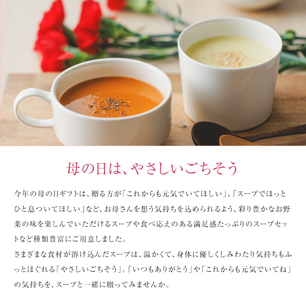Soup Stock Tokyo 母の日限定 6スープセット 掛け紙付 2026 プレゼント ギフト